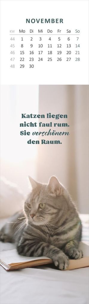 Weitere Ansicht: Lesezeichenkalender Katzenglück 2027