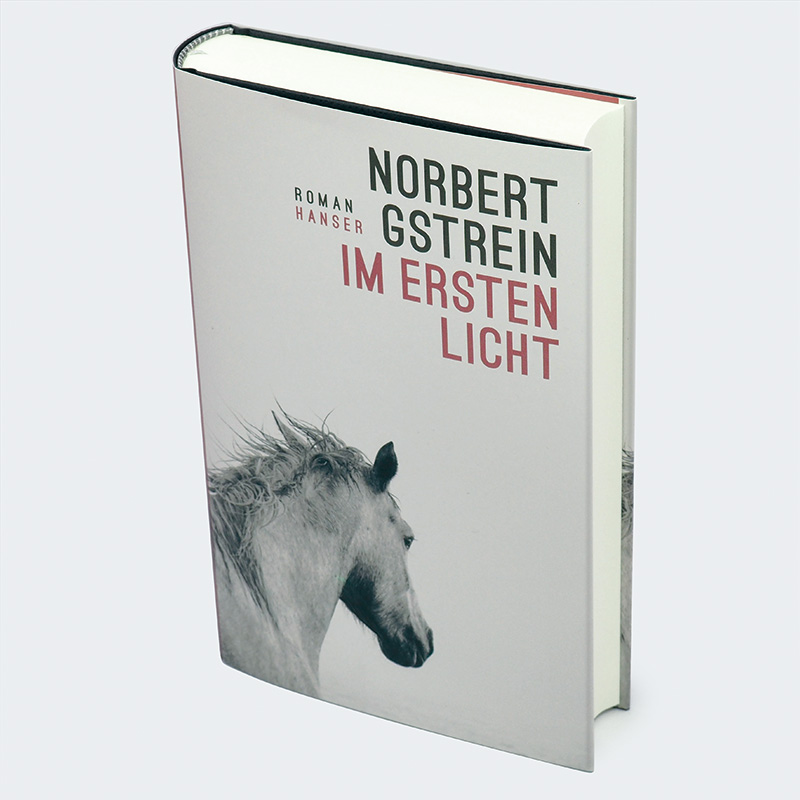 Weitere Ansicht: Im ersten Licht | Norbert Gstrein