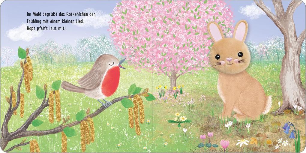 Weitere Ansicht: Meine sprechende Fingerpuppe: Hops Hase