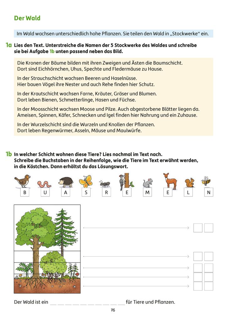 Weitere Ansicht: Erfolgreich durch die 3. Klasse - Mathe, Deutsch, Sachunterricht | Diana Depireux