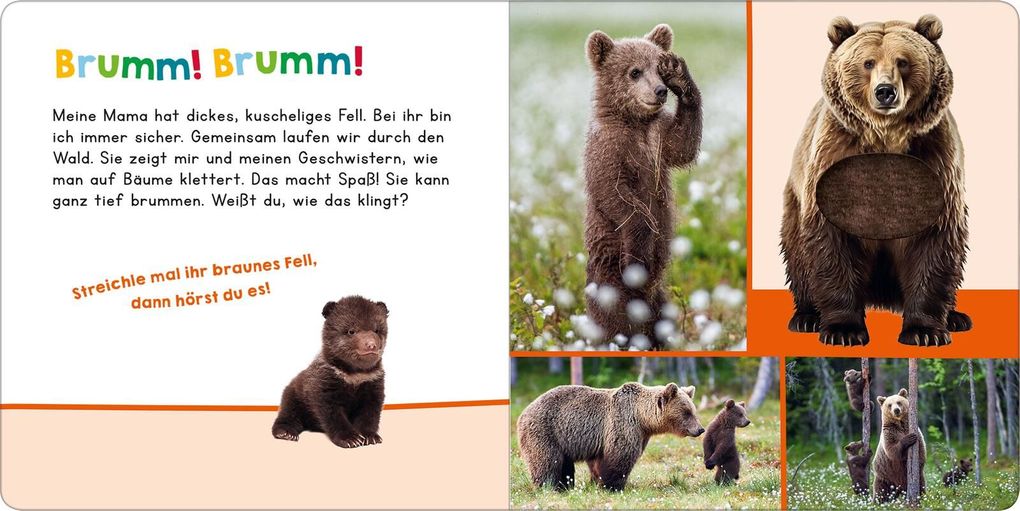 Weitere Ansicht: Hör mal rein, wer kann das sein? - Meine Mama