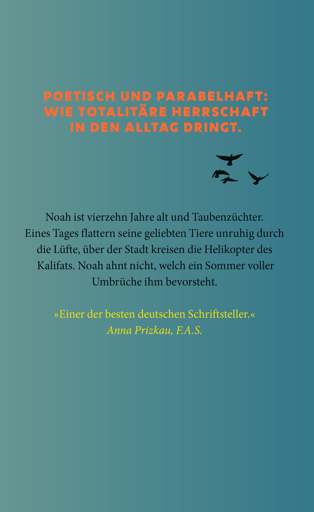 Weitere Ansicht: Der letzte Sommer der Tauben | Abbas Khider