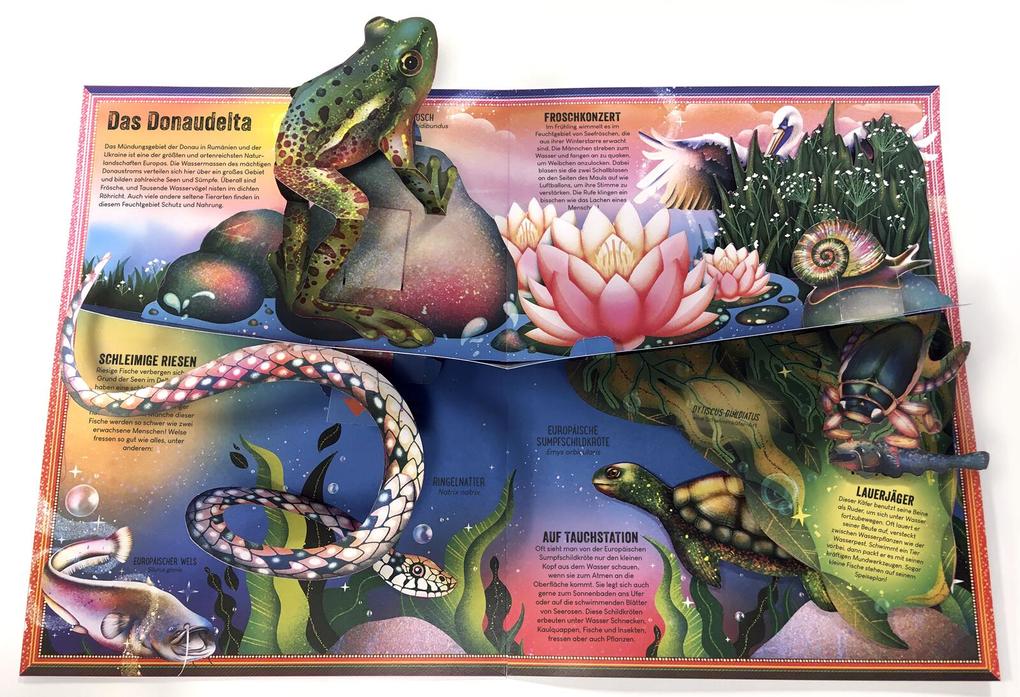 Weitere Ansicht: Das unglaubliche Pop-up-Buch - Am Wasser | Ben Hoare