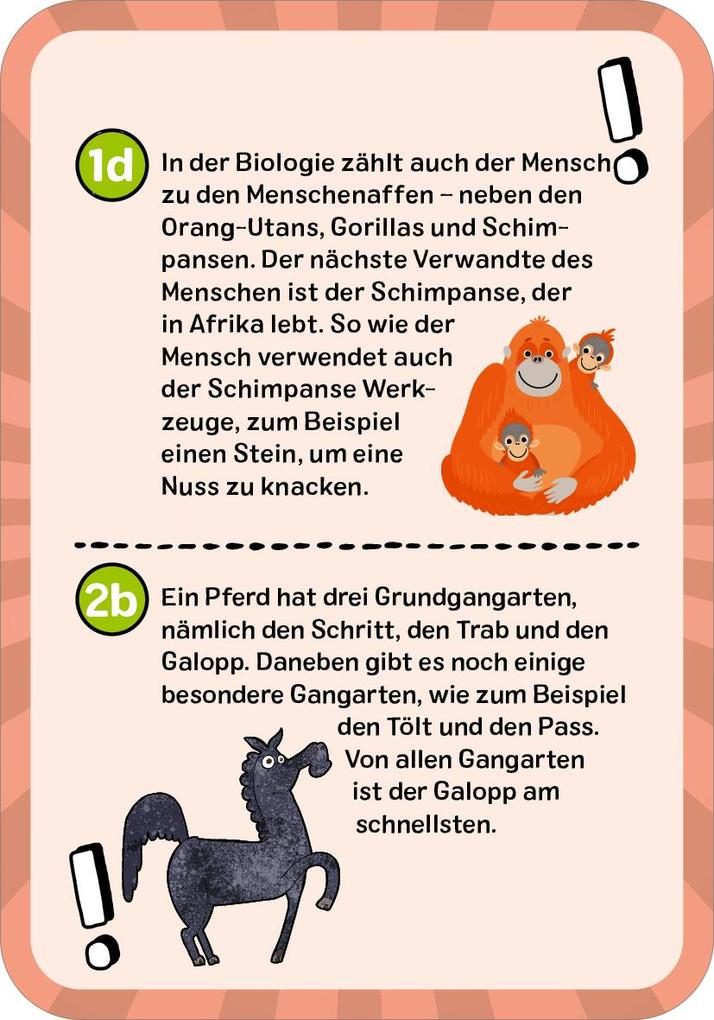 Weitere Ansicht: Das ultimative Wissens-Quiz | Philip Kiefer