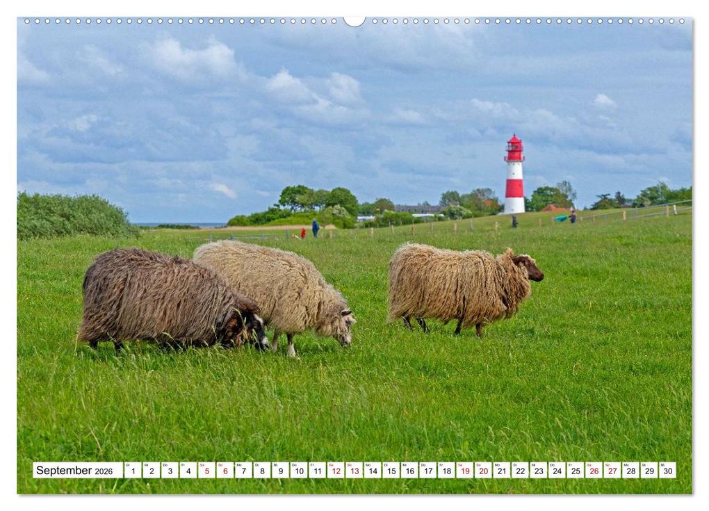 Weitere Ansicht: Angeln - Landschaft zwischen Schlei und Flensburger Förde (Wandkalender 2026 DIN A2 quer), CALVENDO Monatskalender | Siegfried Kuttig, Calvendo