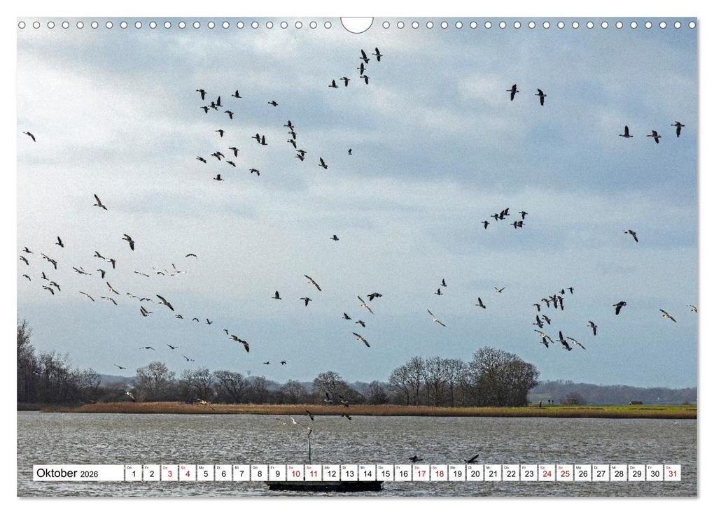 Weitere Ansicht: Angeln - Landschaft zwischen Schlei und Flensburger Förde (Wandkalender 2026 DIN A3 quer), CALVENDO Monatskalender | Siegfried Kuttig, Calvendo