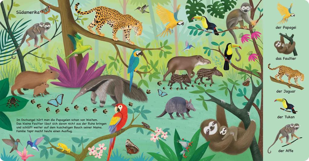 Weitere Ansicht: Tiere aus aller Welt | Katharina Lotz