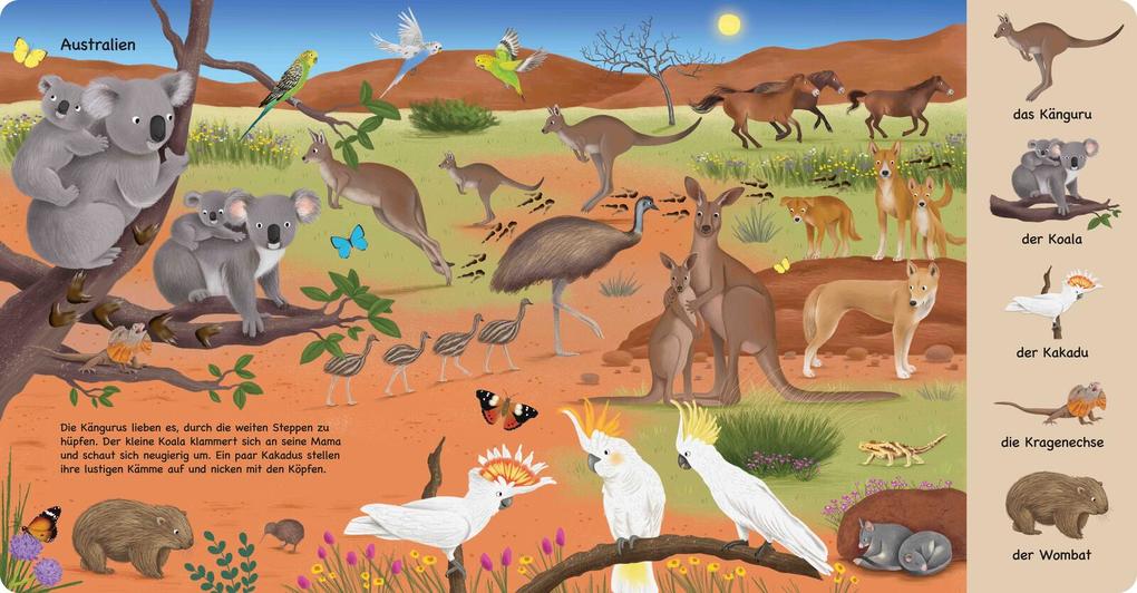 Weitere Ansicht: Tiere aus aller Welt | Katharina Lotz