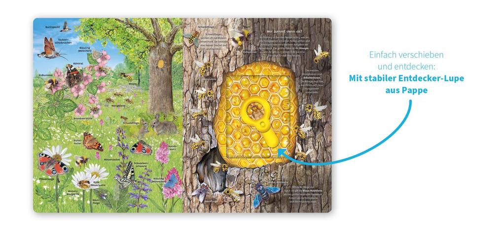 Weitere Ansicht: Mein Lupen-Wimmelbuch: Wald und Wiese