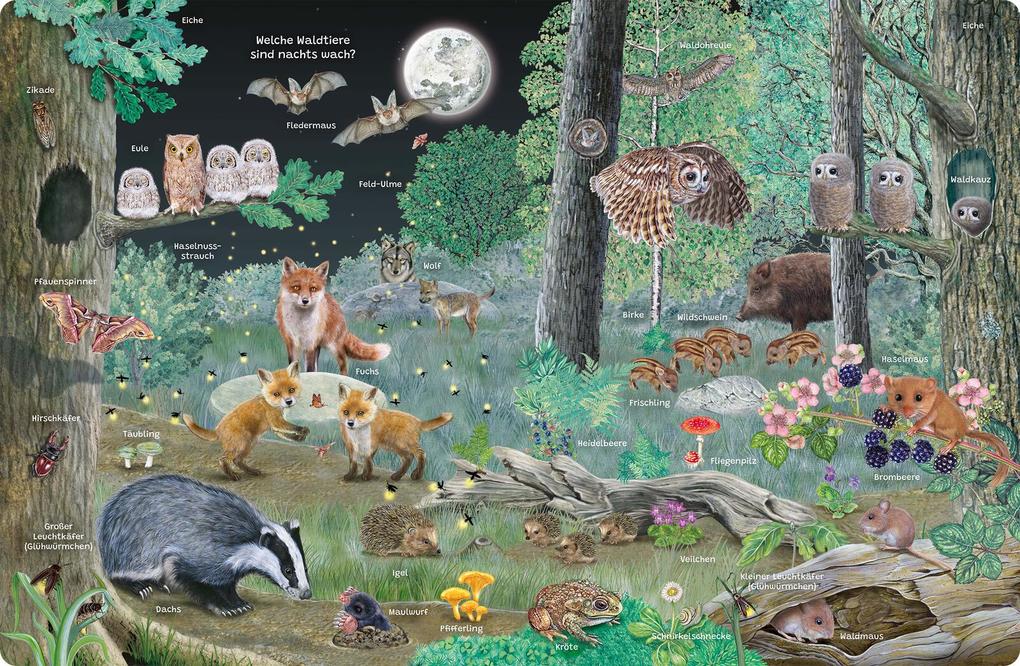 Weitere Ansicht: Mein Lupen-Wimmelbuch: Wald und Wiese