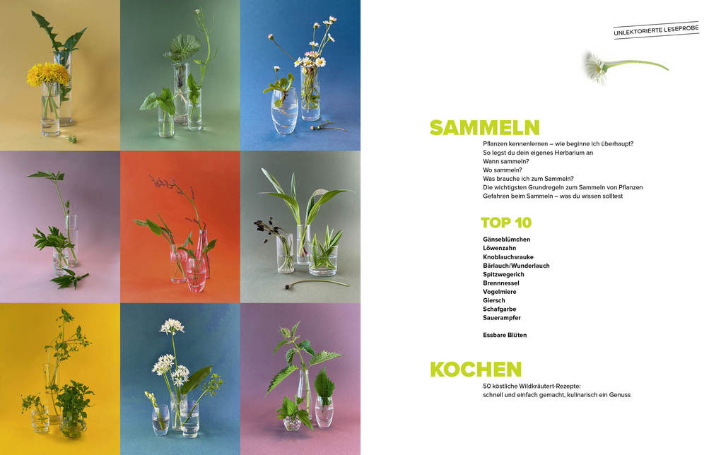 Weitere Ansicht: Wildkräuter Top 10 | Martina Merz