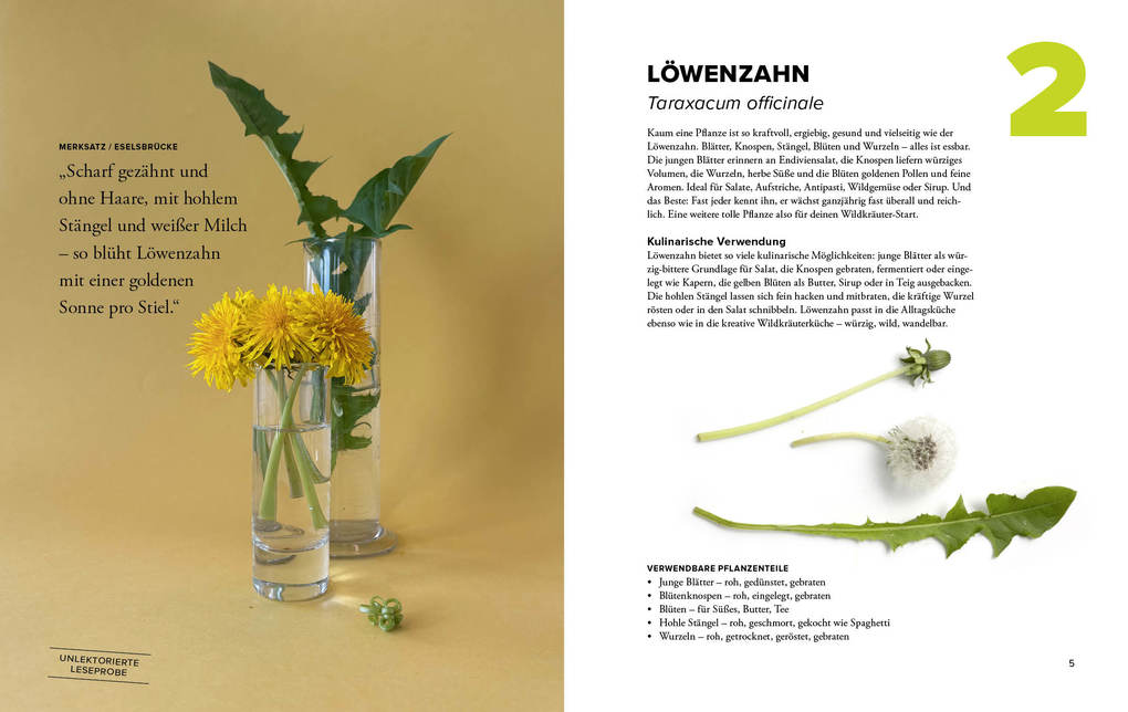Weitere Ansicht: Wildkräuter Top 10 | Martina Merz