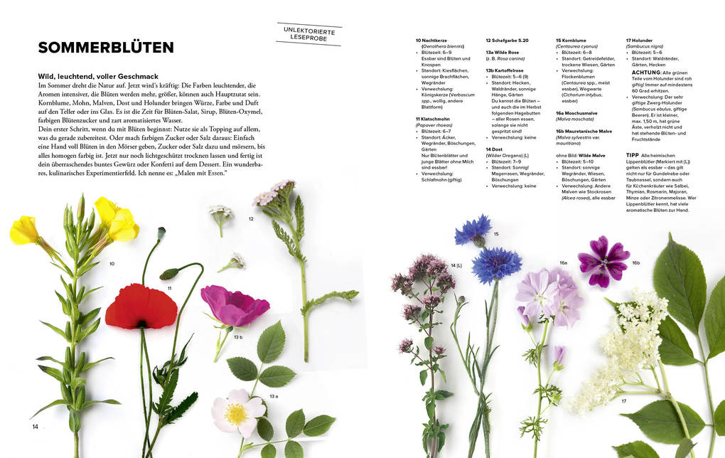 Weitere Ansicht: Wildkräuter Top 10 | Martina Merz