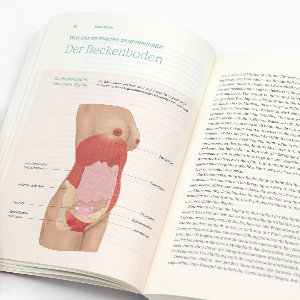 Weitere Ansicht: Das große Gynbuch | Mandy Mangler