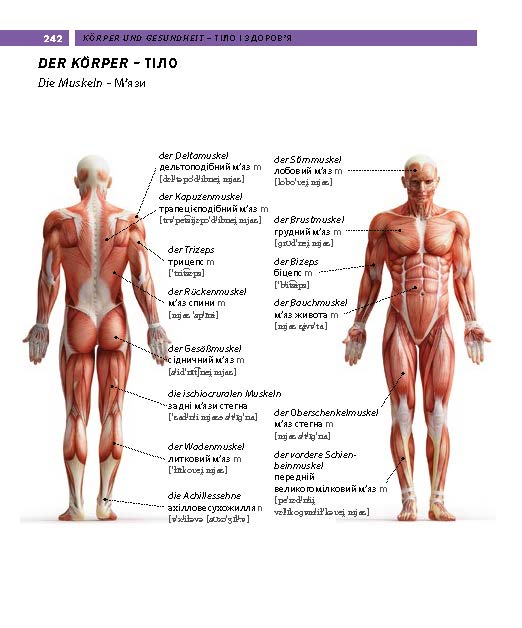 Weitere Ansicht: PONS Bildwörterbuch Ukrainisch