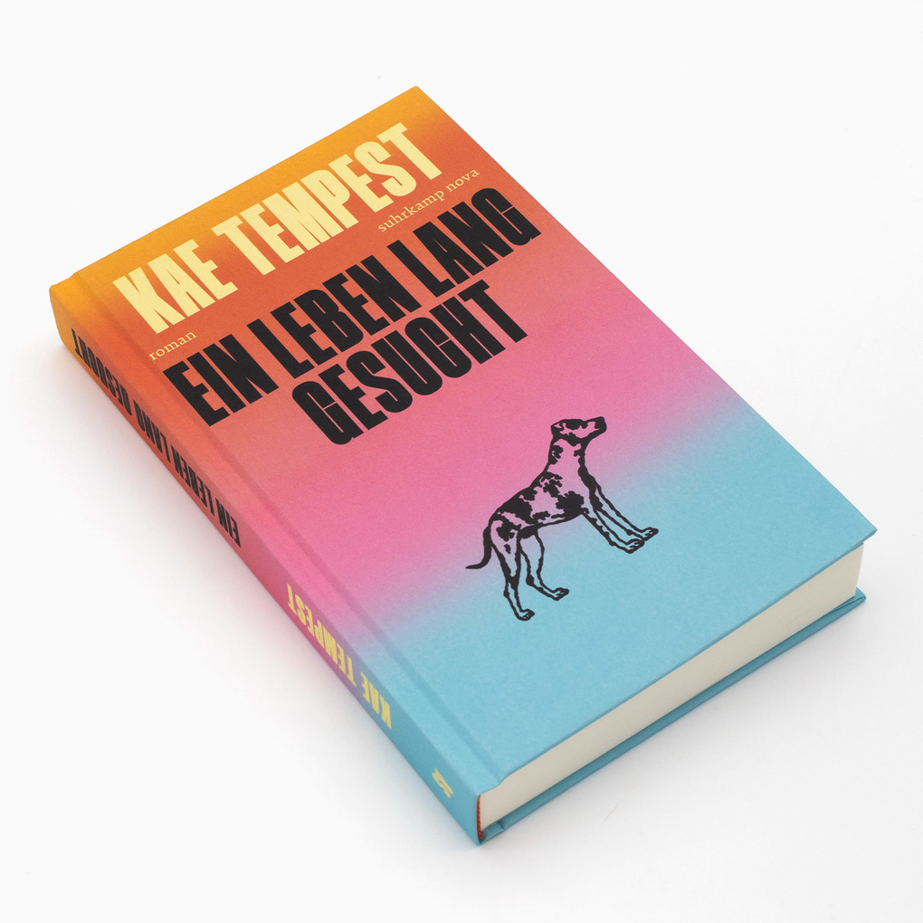 Weitere Ansicht: Ein Leben lang gesucht | Kae Tempest