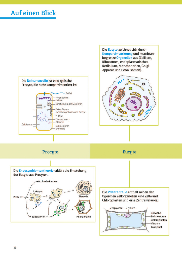 Weitere Ansicht: Sicher im Abi Biologie
