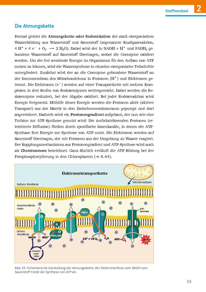Weitere Ansicht: Sicher im Abi Biologie
