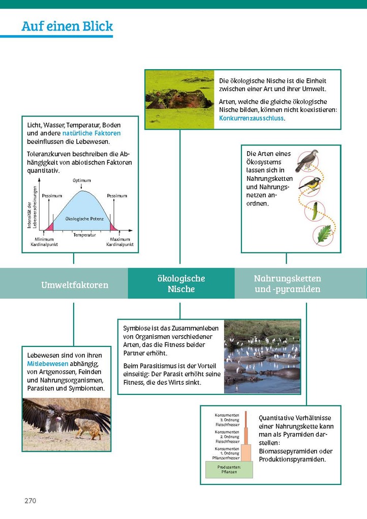 Weitere Ansicht: Sicher im Abi Biologie