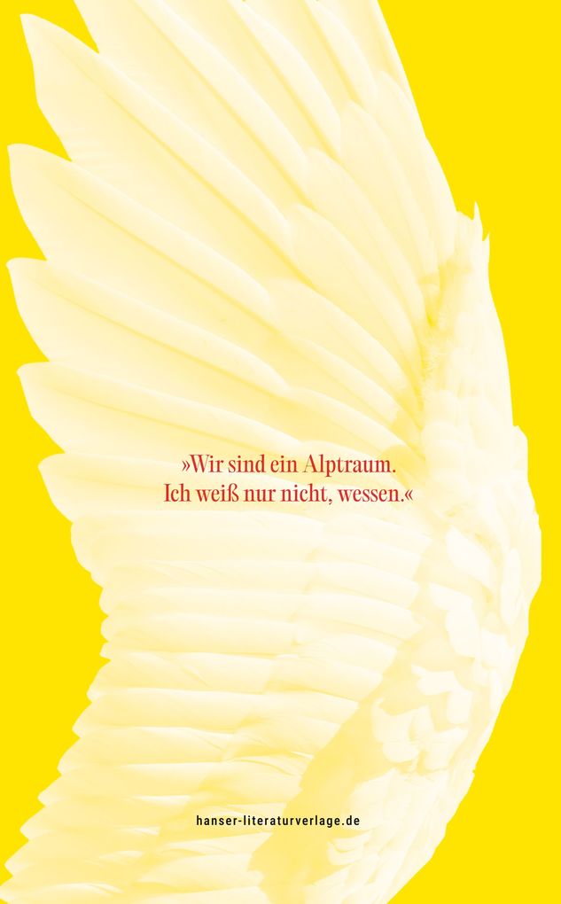 Weitere Ansicht: Als wir Schwäne waren | Behzad Karim Khani