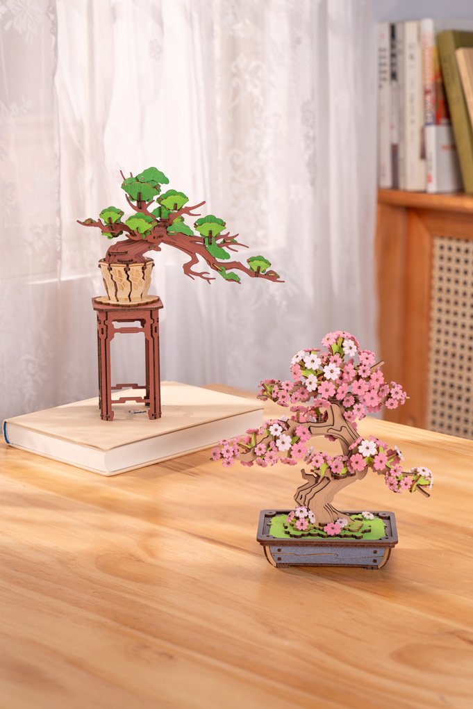 Weitere Ansicht: Evergreen Pine Bonsai
