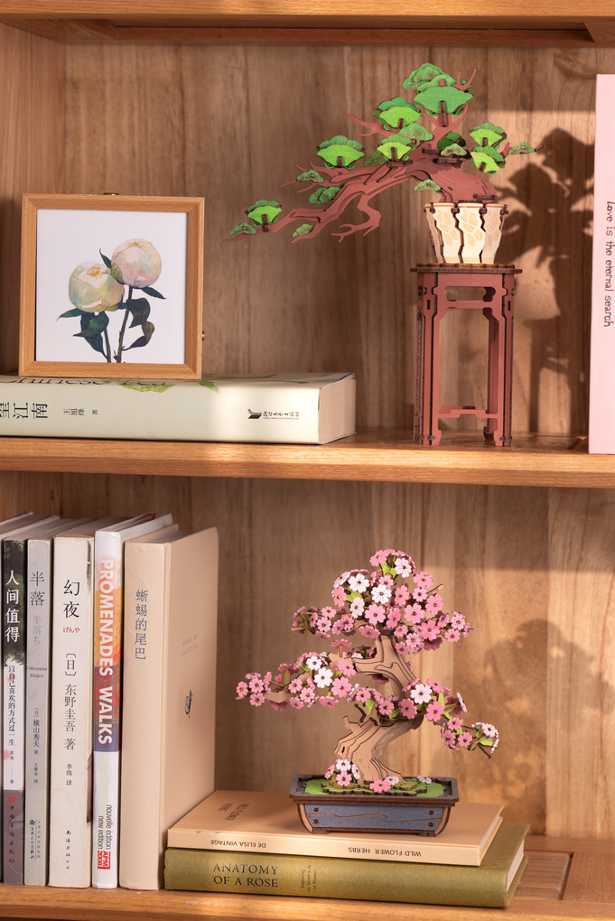 Weitere Ansicht: Evergreen Pine Bonsai