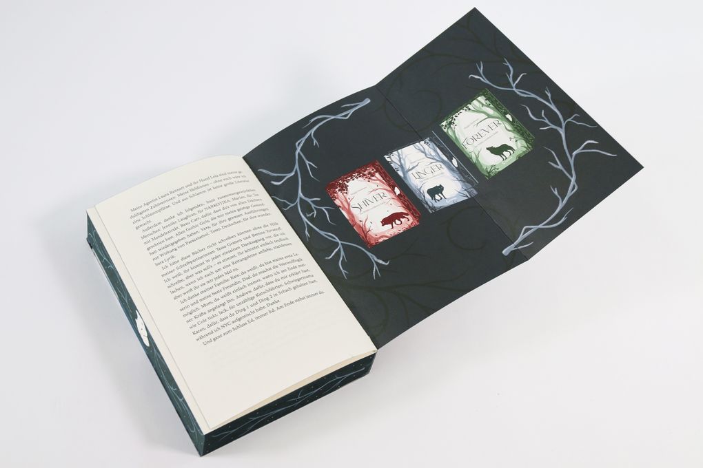 Weitere Ansicht: Linger (Die Wölfe von Mercy Falls, Band 2) | Maggie Stiefvater