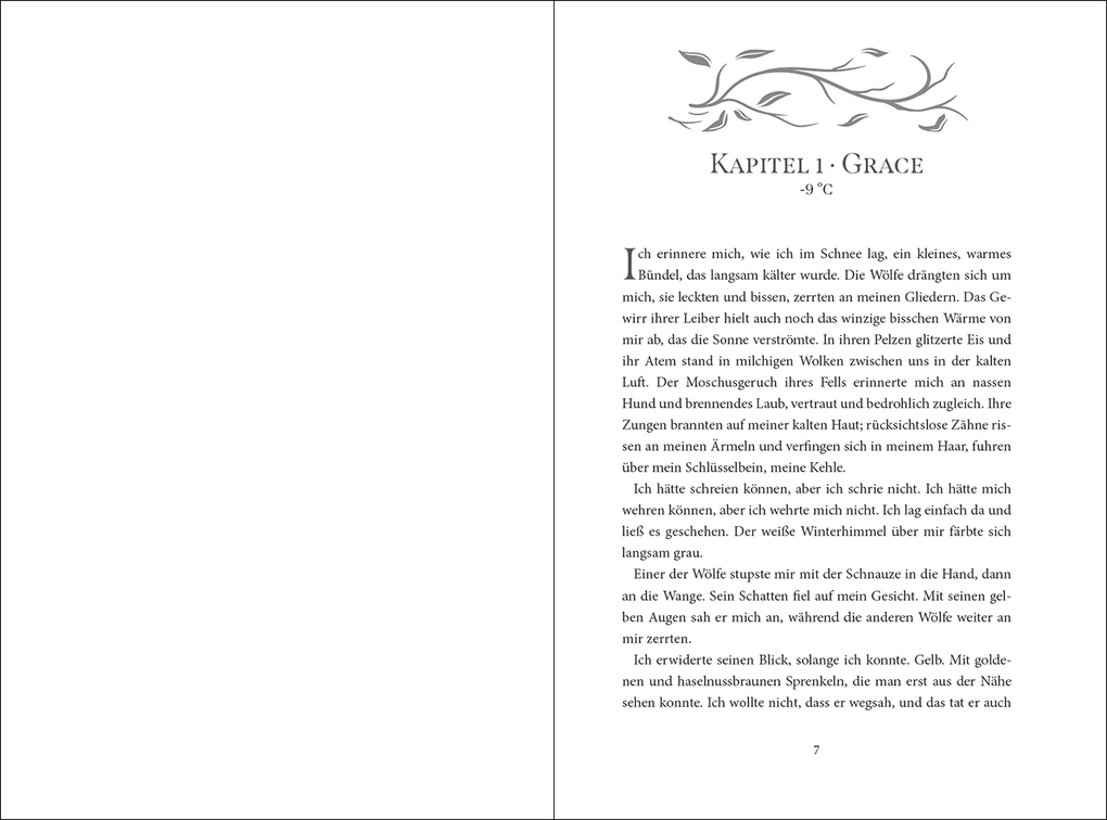 Weitere Ansicht: Shiver (Die Wölfe von Mercy Falls, Band 1) | Maggie Stiefvater