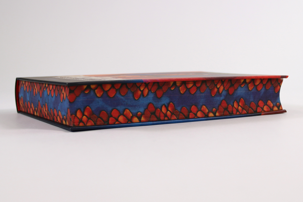 Weitere Ansicht: Dragonborn (Band 1) - Das Erbe des Feuers | Struan Murray