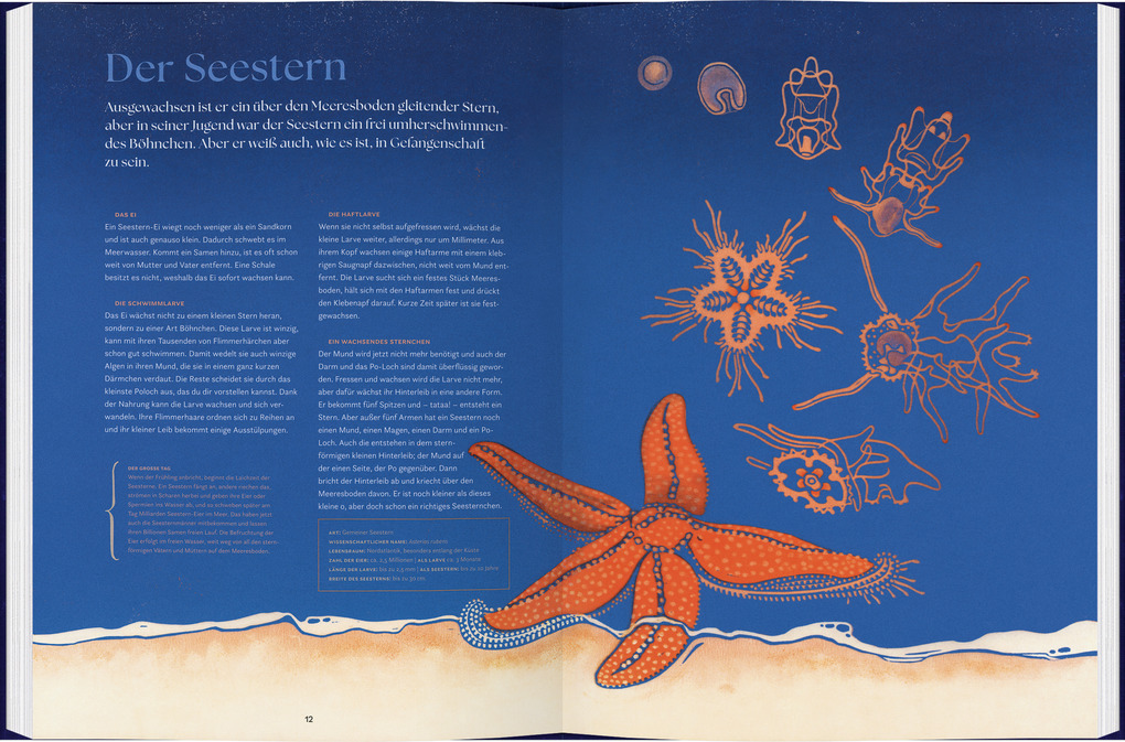 Weitere Ansicht: verwandelt | Geert-Jan Roebers