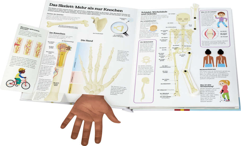 Weitere Ansicht: Mein großes Körperbuch | Anne-Sophie Baumann