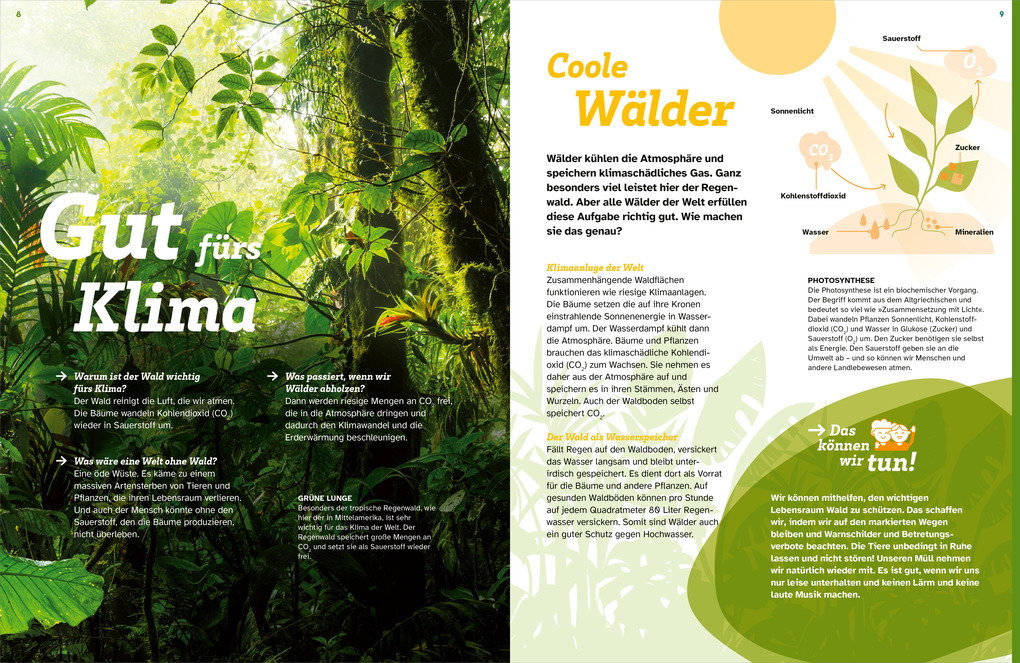 Weitere Ansicht: WAS IST WAS Der Wald. Zwischen Blättern und Zapfen | Florian Kinast