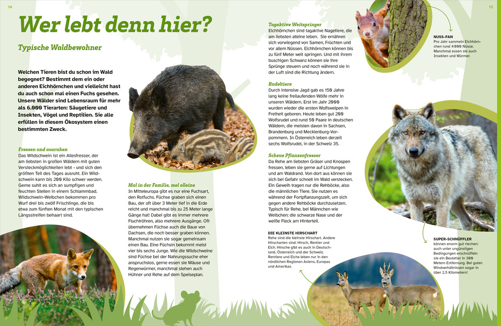 Weitere Ansicht: WAS IST WAS Der Wald. Zwischen Blättern und Zapfen | Florian Kinast