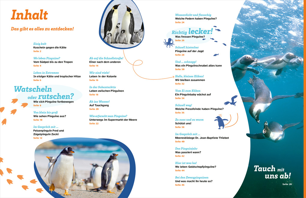 Weitere Ansicht: WAS IST WAS Pinguine. Immer cool drauf | Annette Scheffer