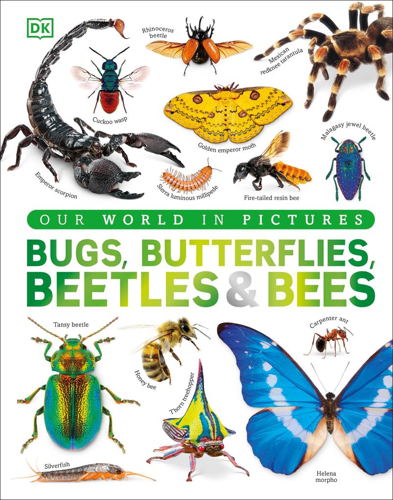 Produktbild: Bugs, Butterflies, Beetles and Bees | Dk