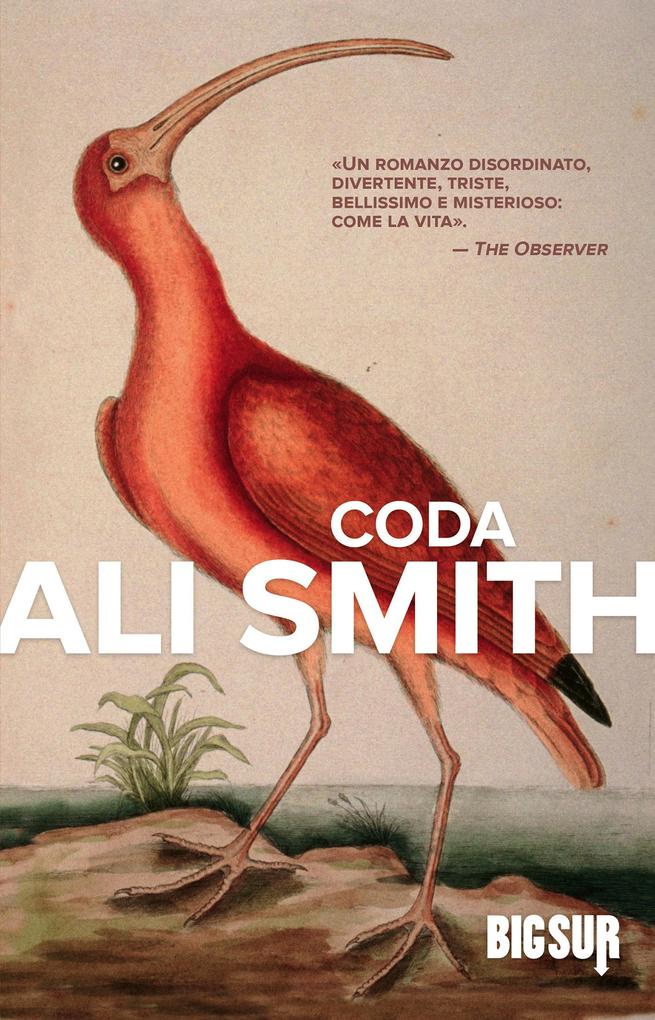 Produktbild: Coda | Ali Smith