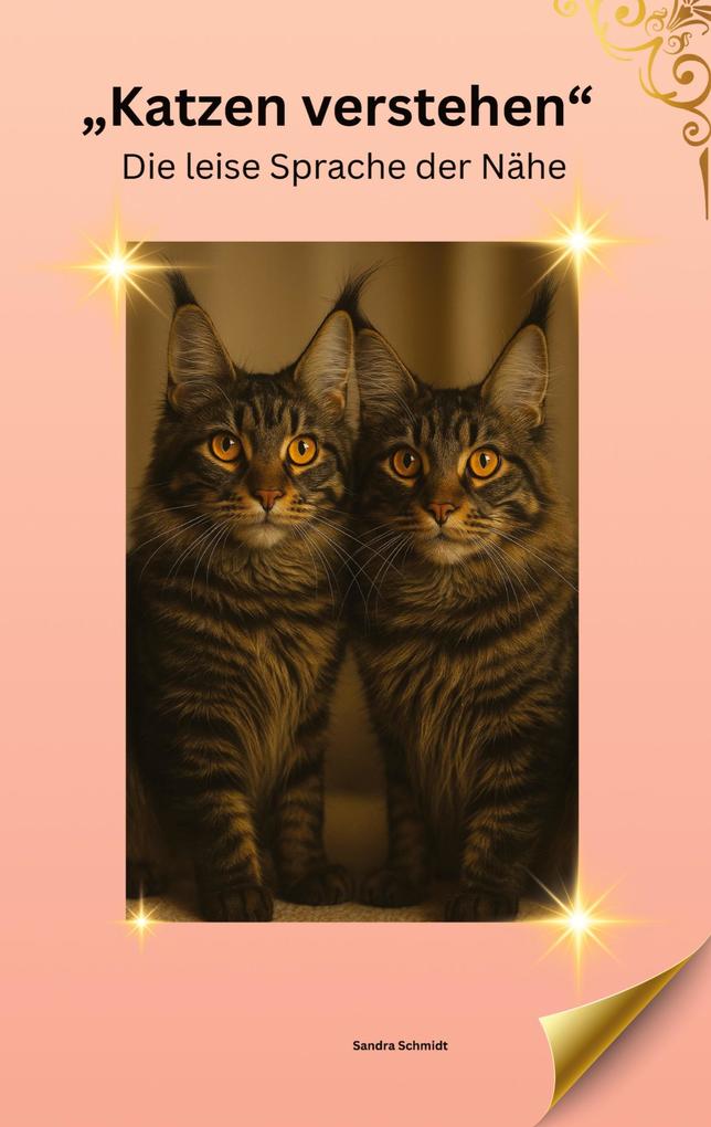 Produktbild: Katzen verstehen | Sandra Schmidt