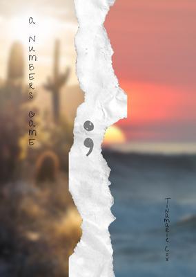 Produktbild: A Numbers Game | Tinamarie Cox