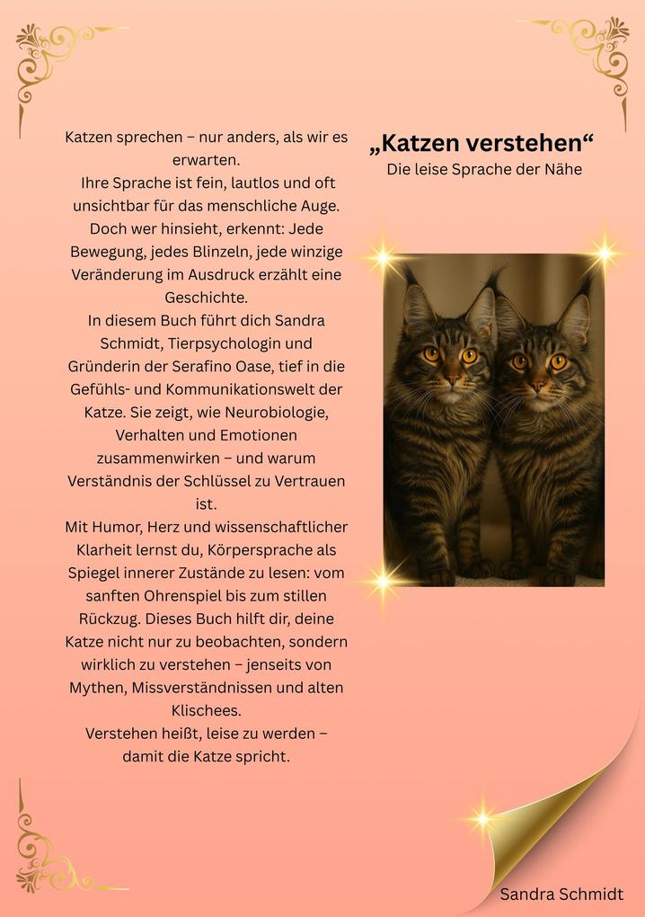 Produktbild: Katzen verstehen | Sandra Schmidt