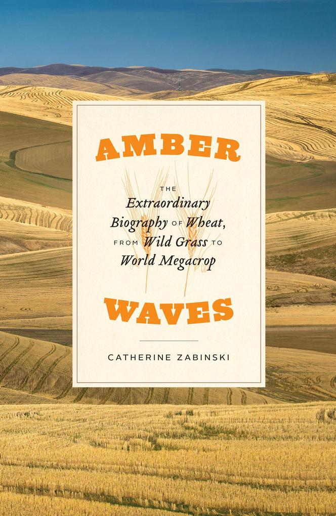 Produktbild: Amber Waves | Catherine Zabinski