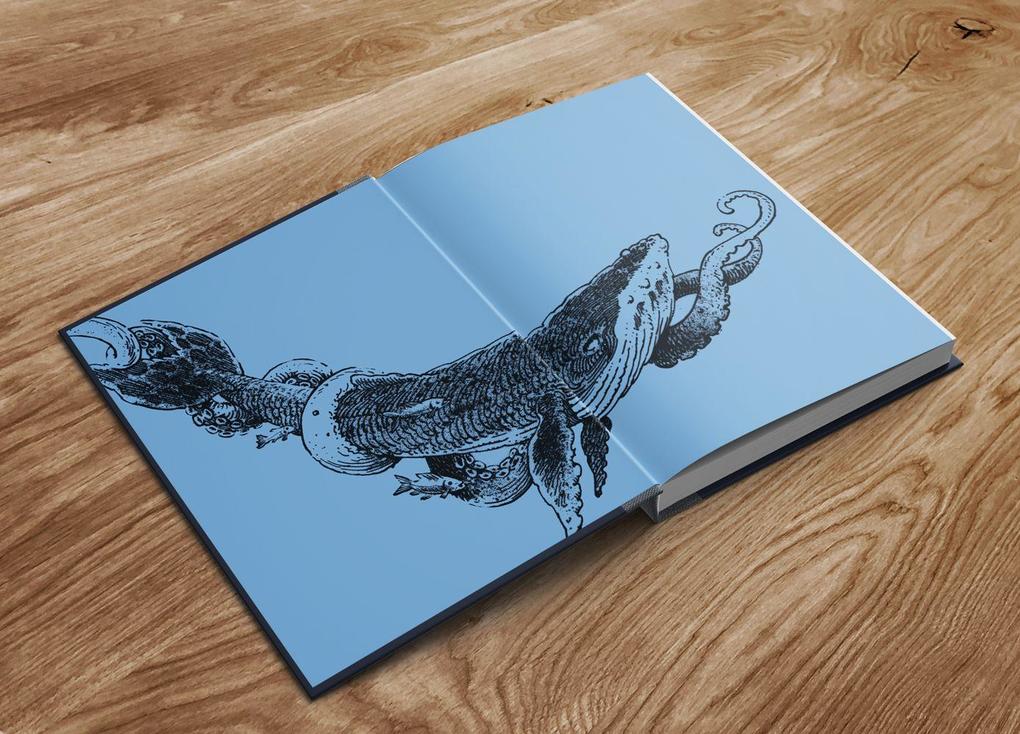 Weitere Ansicht: North Star | Stefan Kruecken