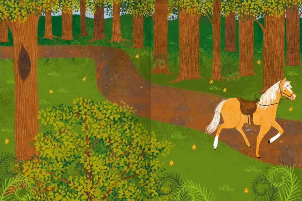 Weitere Ansicht: Mein Pferde-Stickerheft