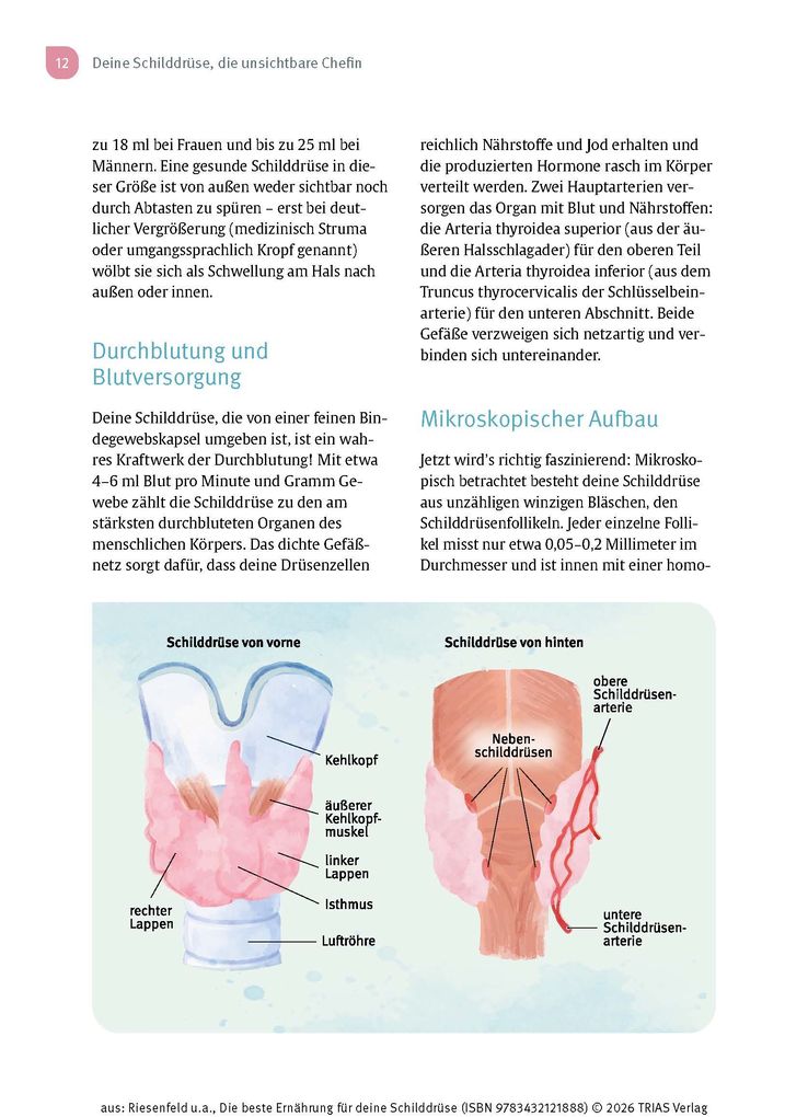 Weitere Ansicht: Die beste Ernährung für deine Schilddrüse | Iwonna Riesenfeld, Kira Bandmann