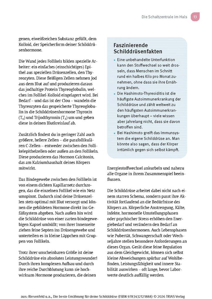 Weitere Ansicht: Die beste Ernährung für deine Schilddrüse | Iwonna Riesenfeld, Kira Bandmann
