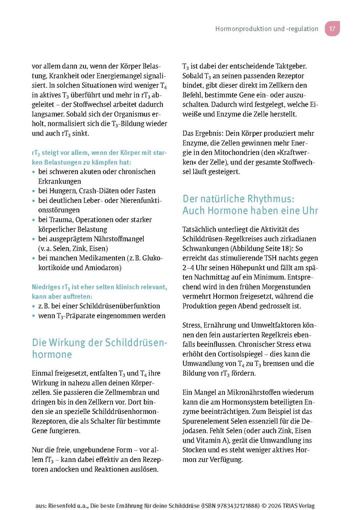 Weitere Ansicht: Die beste Ernährung für deine Schilddrüse | Iwonna Riesenfeld, Kira Bandmann