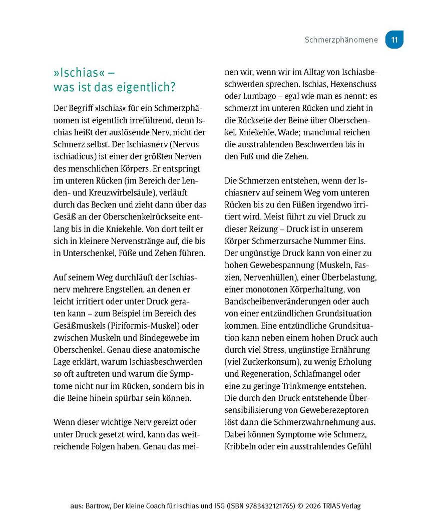 Weitere Ansicht: Der kleine Coach für Ischias und ISG | Kay Bartrow