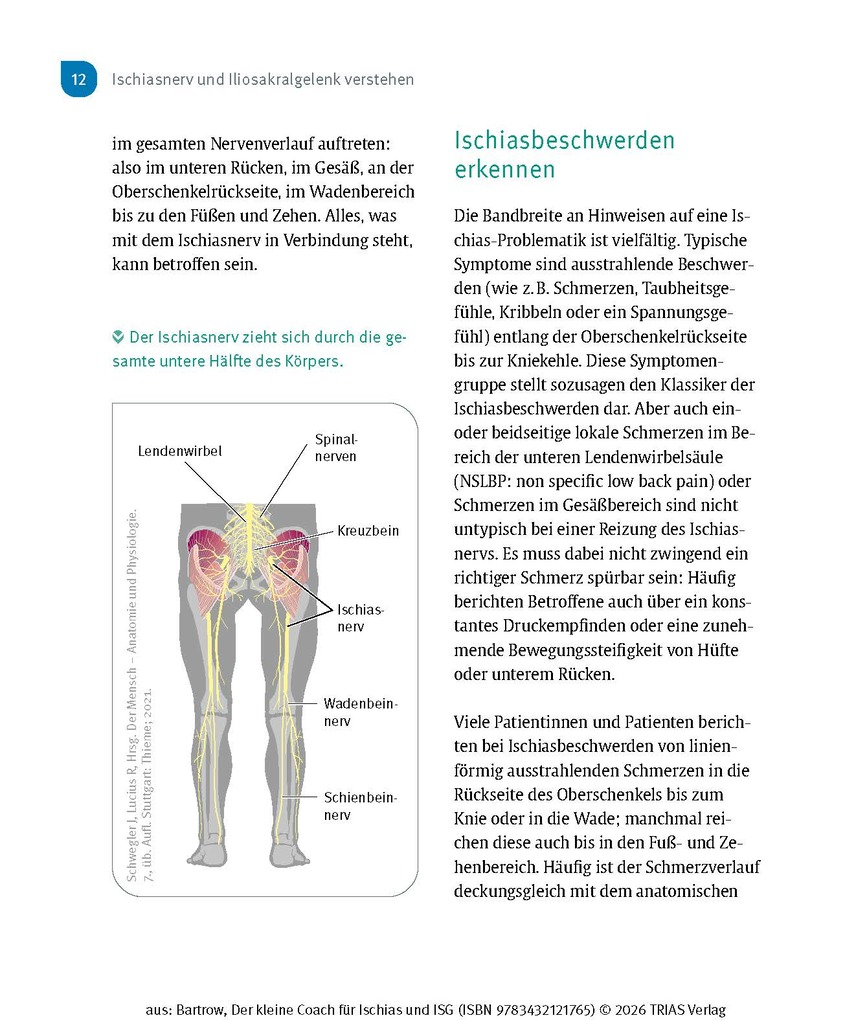 Weitere Ansicht: Der kleine Coach für Ischias und ISG | Kay Bartrow