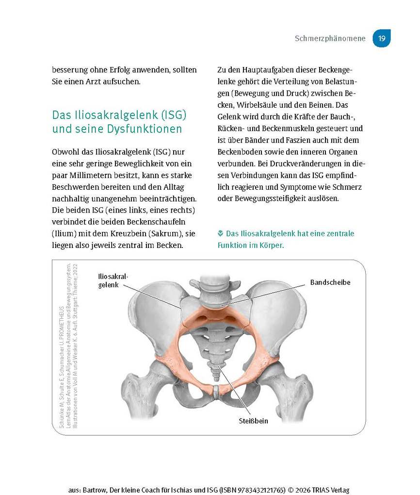 Weitere Ansicht: Der kleine Coach für Ischias und ISG | Kay Bartrow