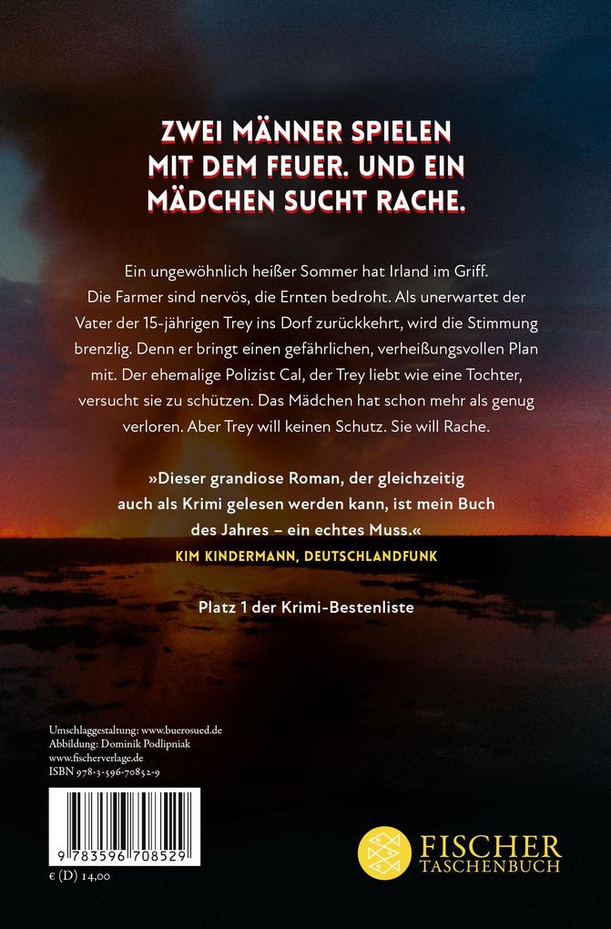 Weitere Ansicht: Feuerjagd | Tana French