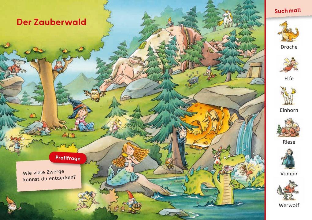 Weitere Ansicht: Leseprofis - Mit Bildern lesen lernen: Der geheimnisvolle Zauberhut, Erstes Lesen | Dirk Hennig